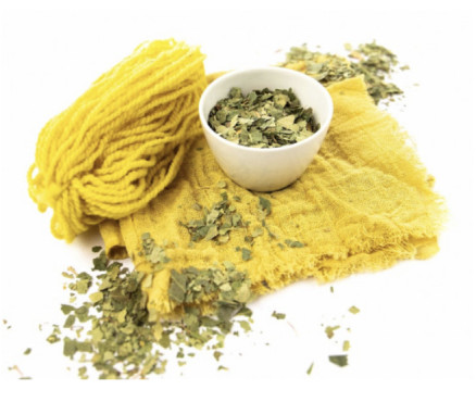 Φύλλα Σημύδας (Birch leaves) 38500 - 100gr